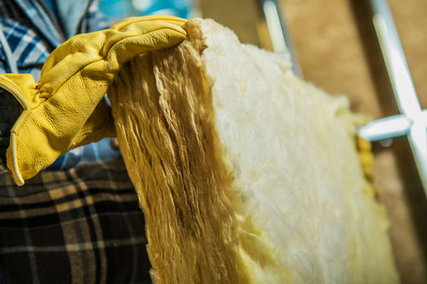 Best Residential Insulation in Blue Springs, MO